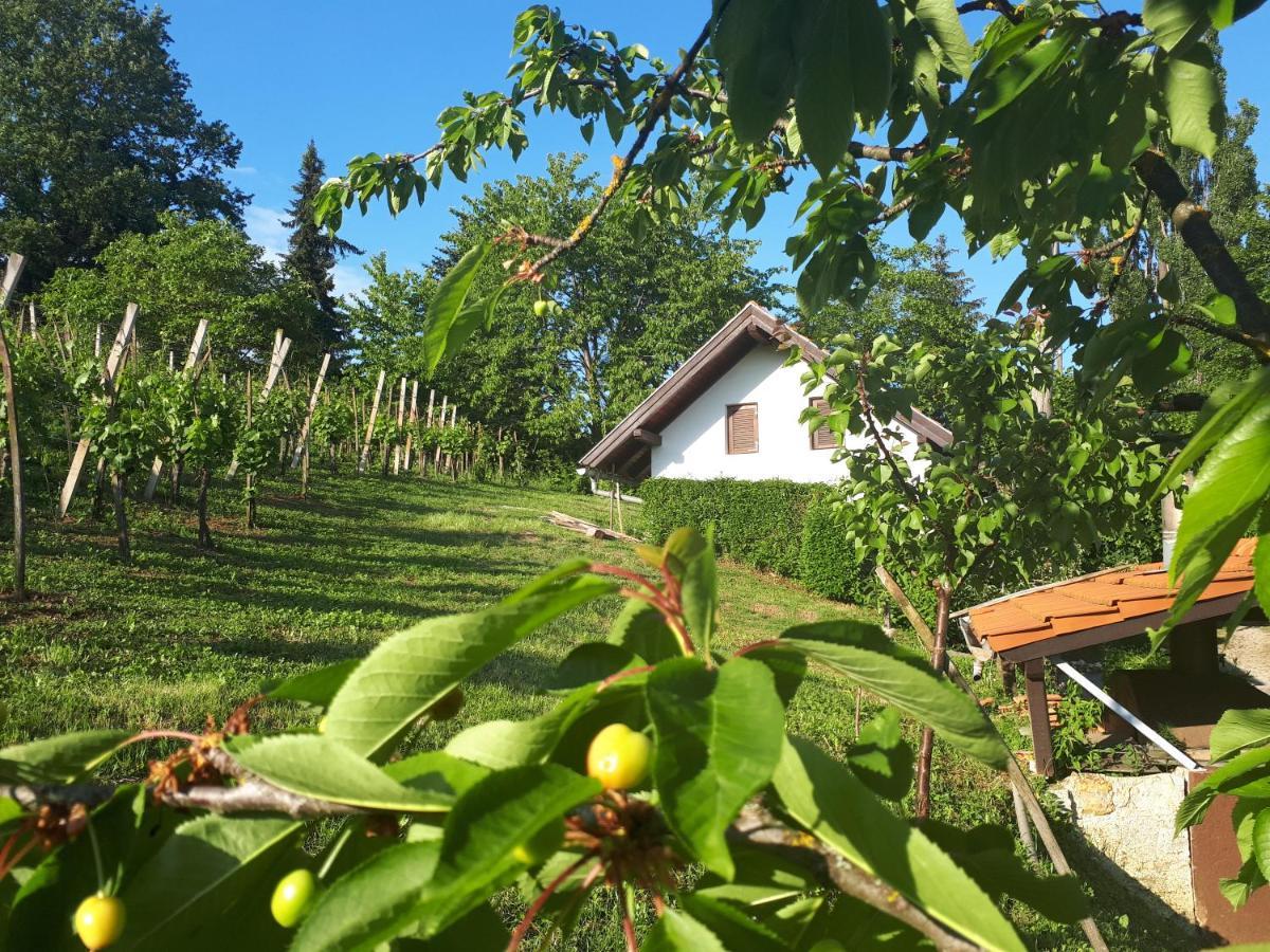 Cesargradska Klet Apartamento Tuhelj Exterior foto