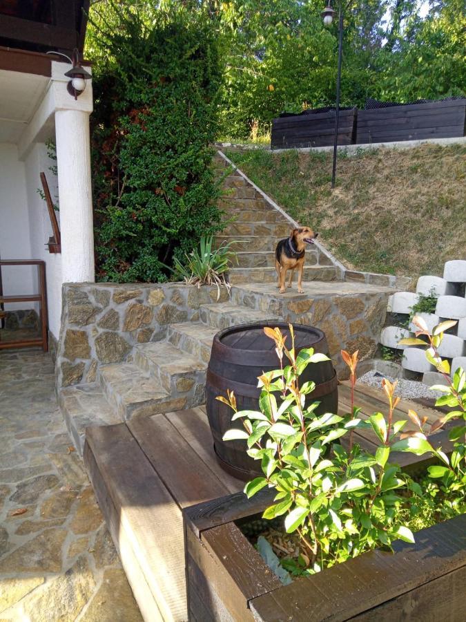 Cesargradska Klet Apartamento Tuhelj Exterior foto